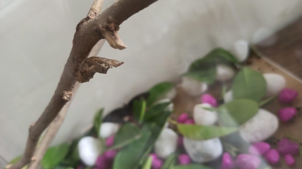 WhatsApp Image 2022-10-17 at 12.13.49 PM (1)