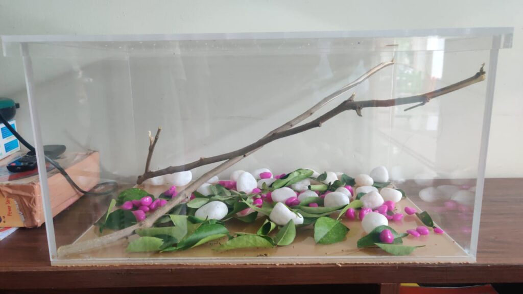 WhatsApp Image 2022-10-17 at 12.13.49 PM