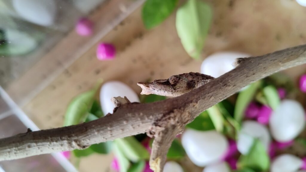 WhatsApp Image 2022-10-17 at 12.13.51 PM