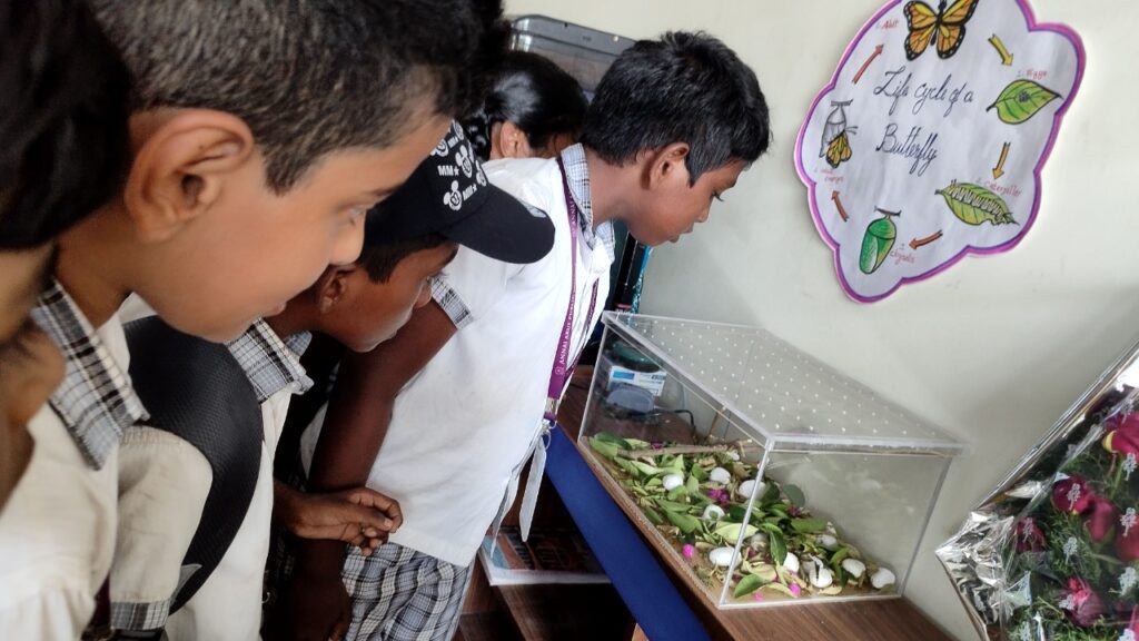 WhatsApp Image 2022-10-17 at 12.13.52 PM (1)