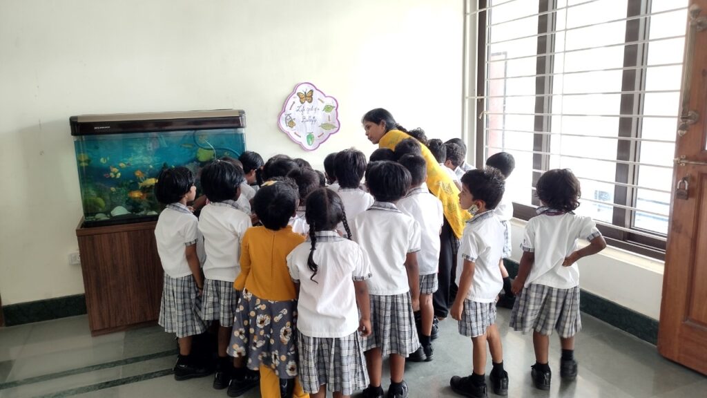 WhatsApp Image 2022-10-17 at 12.13.53 PM