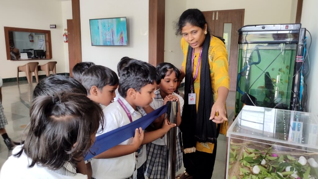 WhatsApp Image 2022-10-17 at 12.13.54 PM (1)