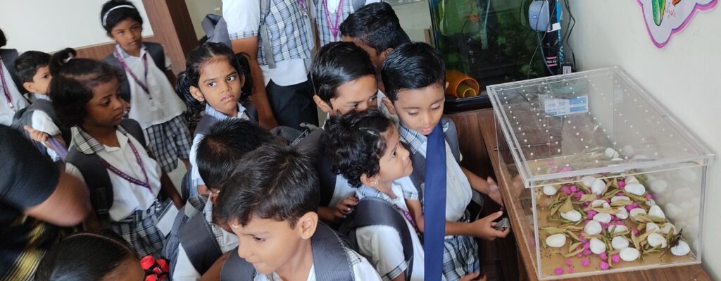 WhatsApp Image 2022-10-17 at 12.13.54 PM (2)