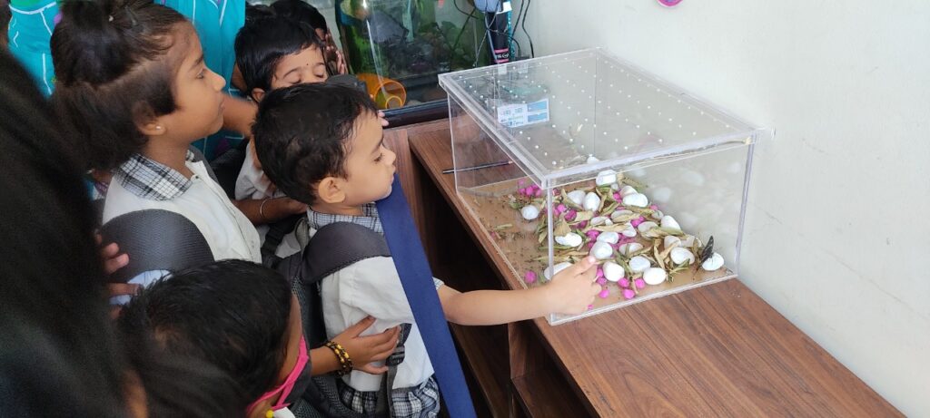 WhatsApp Image 2022-10-17 at 12.13.55 PM (1)